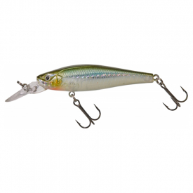 HL Minnow