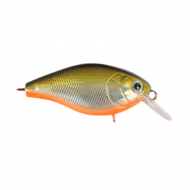 Natural Shad