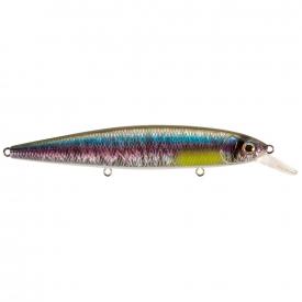 Rainbow Shad