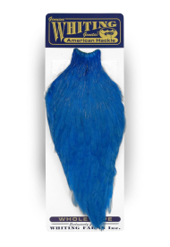 White dyed Kingfisher Blue