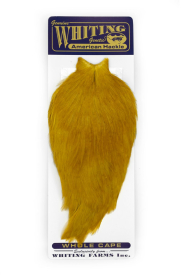 White dyed Golden Olive