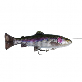 Rainbow Trout