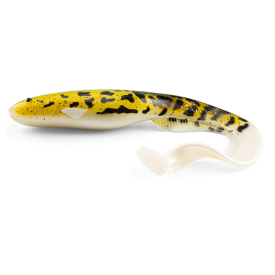 Natural Burbot