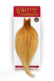 Barred Medium Ginger