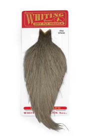 White dyed Medium Dun