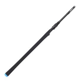 AAVA AINOA Spinning rod 9' 8-30g