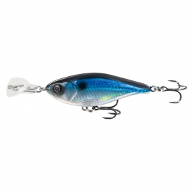 Blue Shad