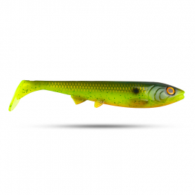 Speckled Greenback Shad