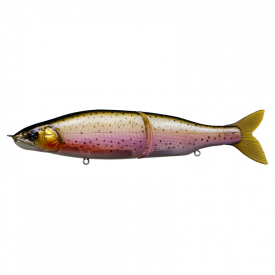 #05 Rainbow Trout