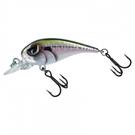 MX Ghost Minnow