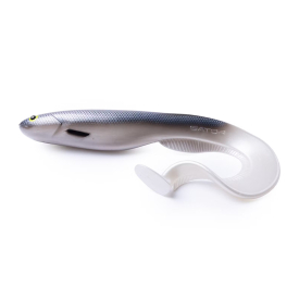 Silver Minnow