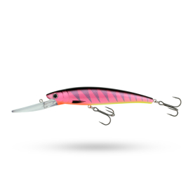 Salmon Tiger