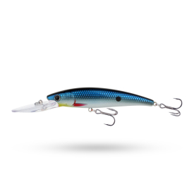 Blue Herring 