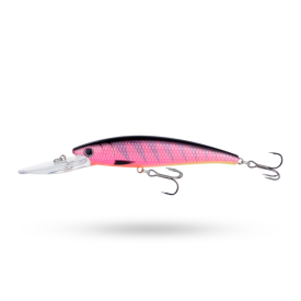 Salmon Tiger 
