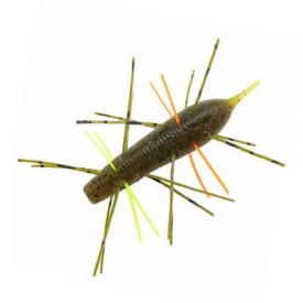 Crazy Bug