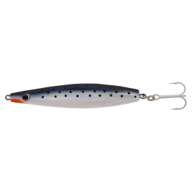 Dotted Sardine