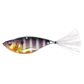 Gill Ob