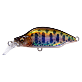 LZ Shiny Keimura Yamame