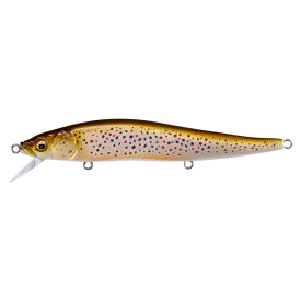 FA Brown Trout