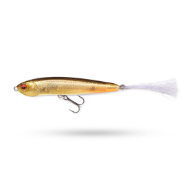 FA Golden Ghost Shiner