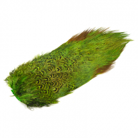 Fl. Chart./Insect Green (UV)