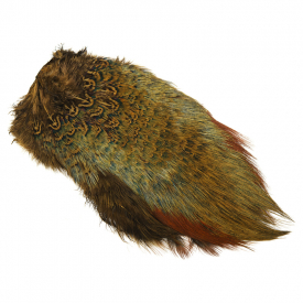 Galloup'S Brown Olive