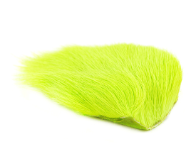 Fluorescent Chartreuse