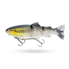 Headlight Deluxe Trout