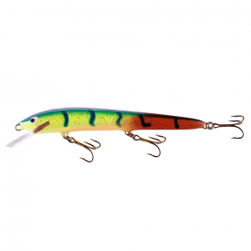 Norwegian Blue Parrot