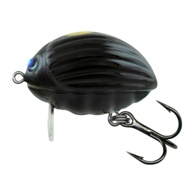 Black Bug