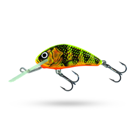 Gold Fluo Perch