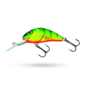 Hot Perch