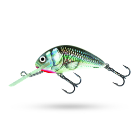 Holographic Grey Shiner