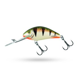 Nordic Perch