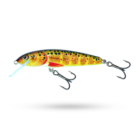 Trout