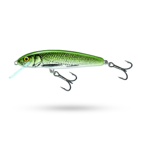 Olive Bleak