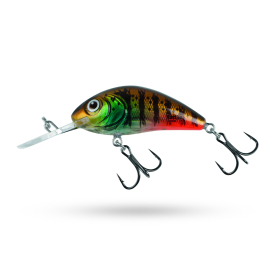 Clear Hot Gill