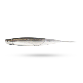 Gizzard Shad