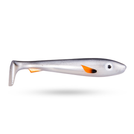 Black Shad