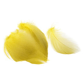 Mayfly Yellow