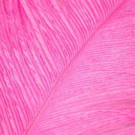 Fluo Pink