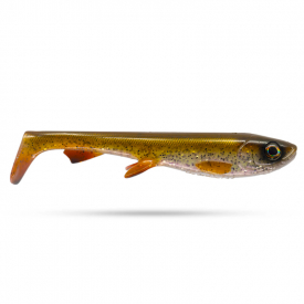 Rainbow Trout (UV)