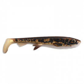 Real Burbot