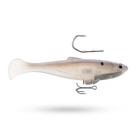 White Back Shad