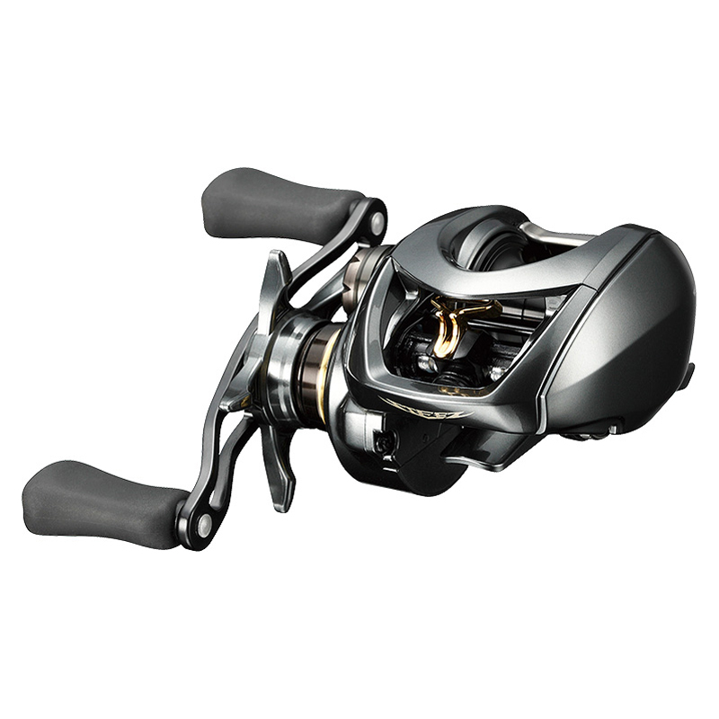Daiwa STEEZ CT SV TW 700 | Sportfishtackle.de