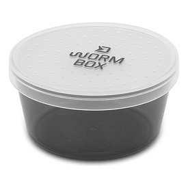 Delphin Worm Box - 10x5 cm
