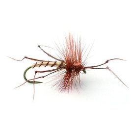Daddy Long Legs Tørr - 10