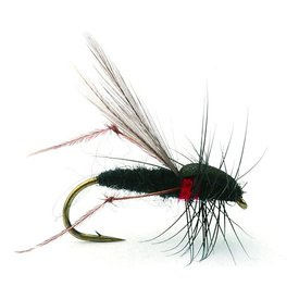 Russer Flua Tørr - 12