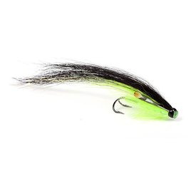Green Posh Sunray - 8 cm
