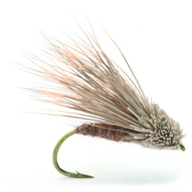 Streaking Caddis - Golden Brown #8